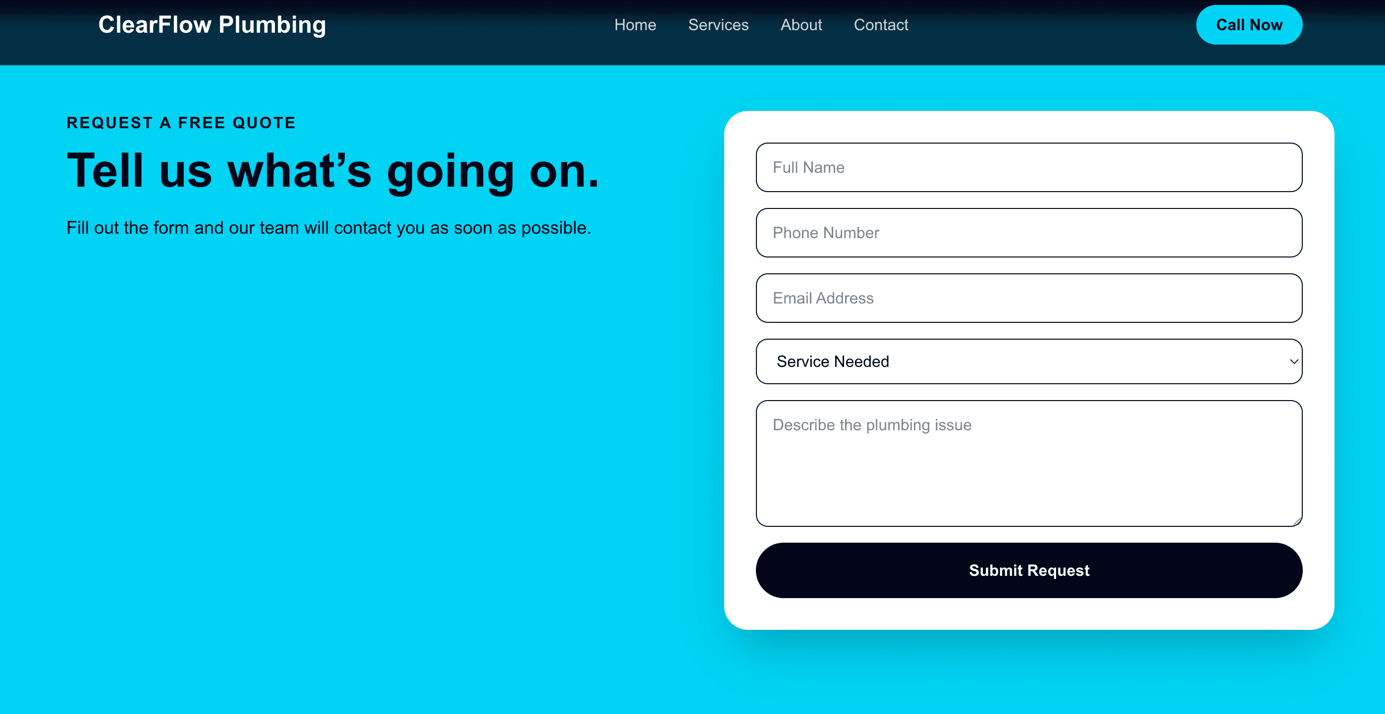 ClearFlow Plumbing feature preview
